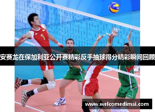 安赛龙在保加利亚公开赛精彩反手抽球得分精彩瞬间回顾