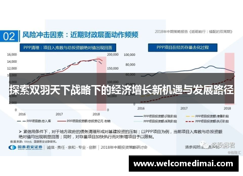 探索双羽天下战略下的经济增长新机遇与发展路径